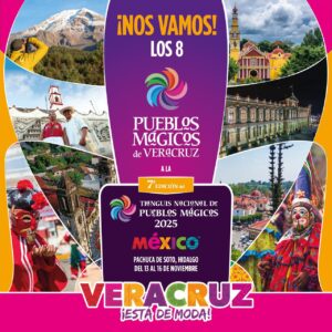 WhatsApp Image 2025-11-13 at 2.34.26 PM