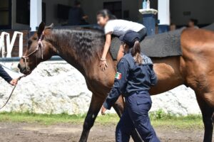 WhatsApp Image 2025-12-03 at 9.55.04 AM