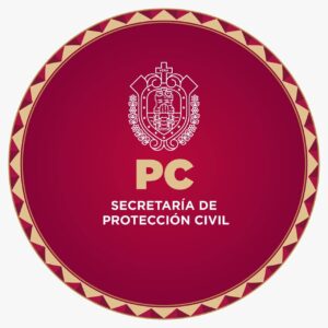 WhatsApp Image 2025-12-06 at 1.25.34 PM