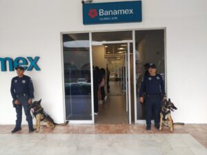 WhatsApp Image 2025-12-10 at 12.45.08 PM