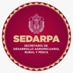 WhatsApp Image 2026-01-09 at 11.24.06 AM