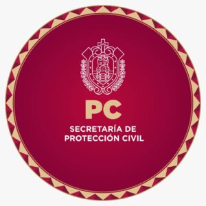 WhatsApp Image 2026-01-16 at 11.49.58 AM