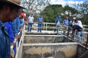 WhatsApp Image 2026-01-25 at 11.11.14 AM