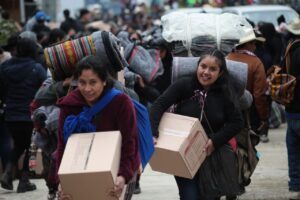 WhatsApp Image 2026-02-03 at 1.37.55 PM