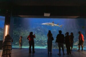 WhatsApp Image 2026-02-09 at 3.08.46 PM