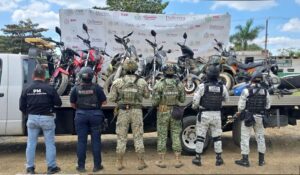 WhatsApp Image 2026-02-09 at 7.31.05 PM