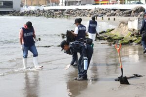 WhatsApp Image 2026-03-31 at 3.36.34 PM