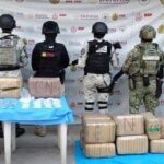 Asegura SSP más de 92 kilos de presunta droga y detiene a 31 personas
