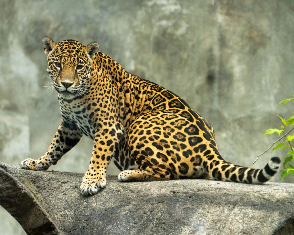 WhatsApp Image 2026-10-25 at 10.24.24 AM