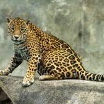 Naturalia transforma el Día de Muertos en un encuentro con la biodiversidad