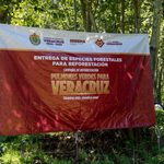 Sedema y Alpatláhuac reforestan 55.5 hectáreas en las Altas Montañas